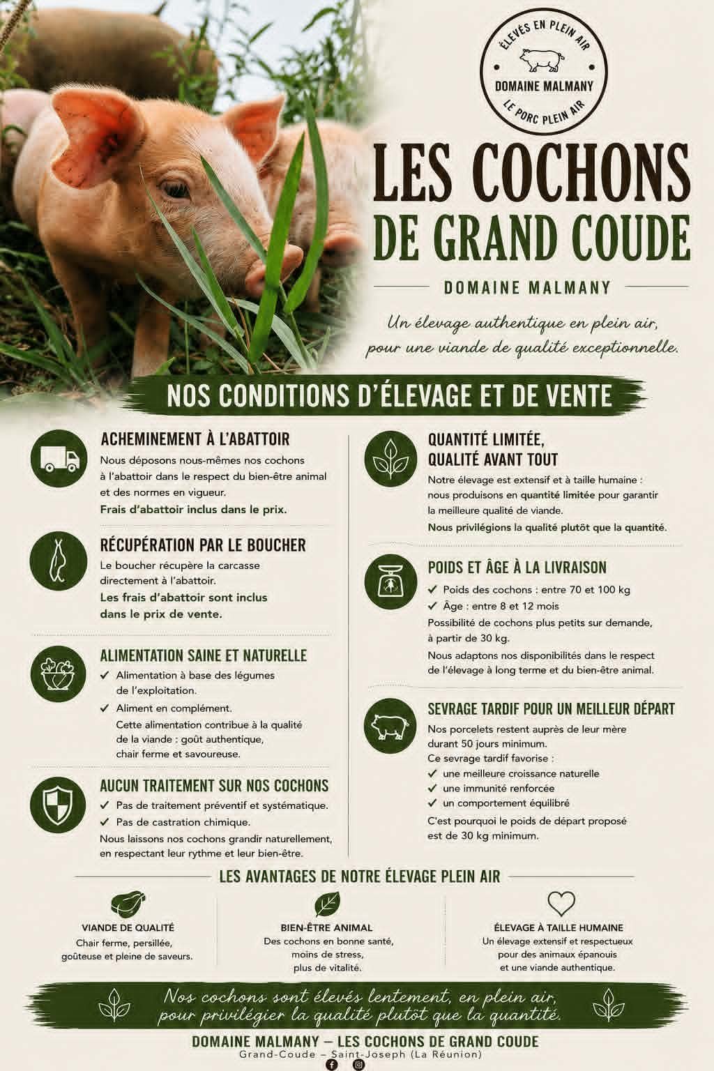 Fiche officielle — Les Cochons de Grand Coude — Domaine Malmany