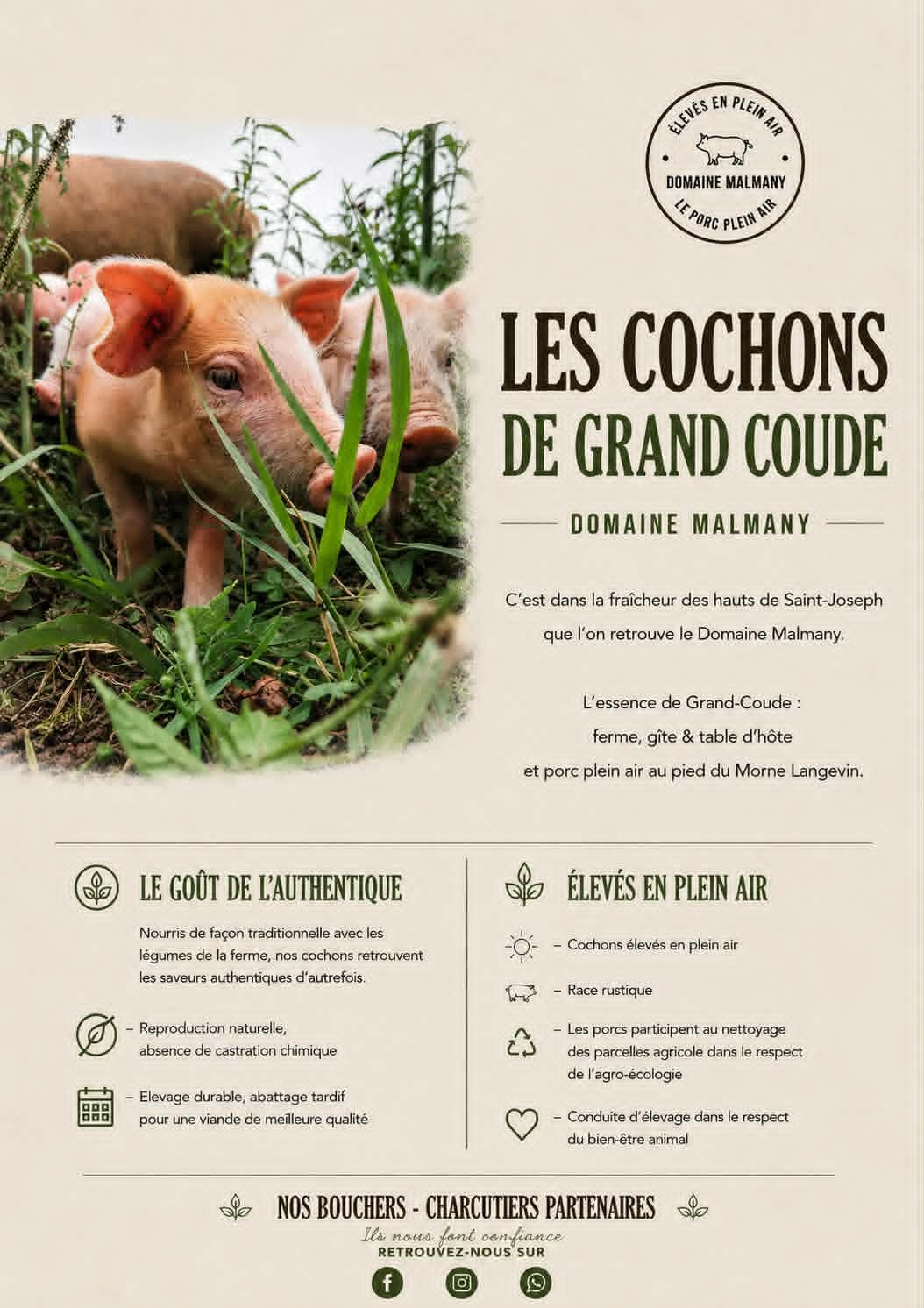 Fiche officielle — Les Cochons de Grand Coude — Domaine Malmany